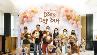 img-dogs-day-out-sporty-pawty-2022